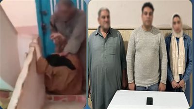 الأمن يكشف حقيقة فيديو اعتداء مسن على سيدة بكفر الشيخ..وضبط طرفي المشاجرة