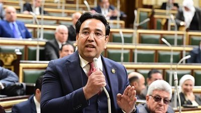 النائب أيمن محسب 