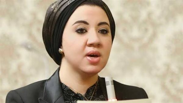 النائبة أميرة صابر