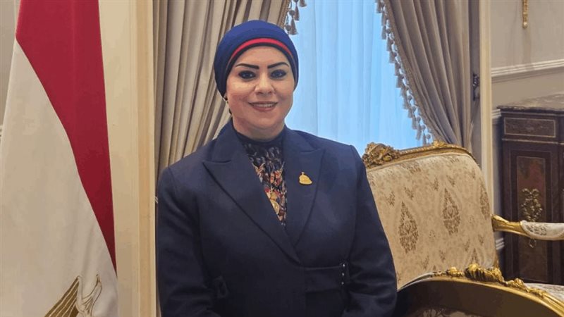 النائبة جيهان شاهين