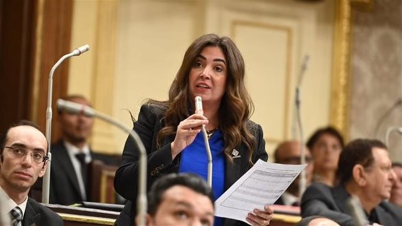 النائبة أميرة العادلي