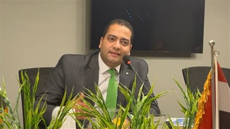 الدكتور أحمد عبدالعال،