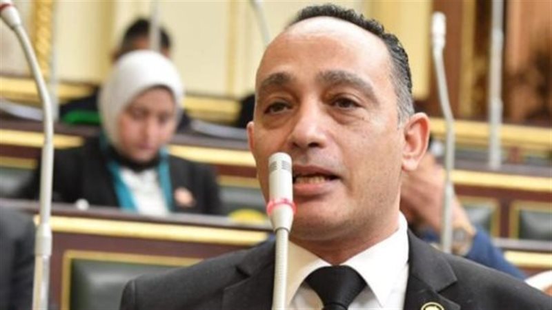 النائب فريدى البياضى