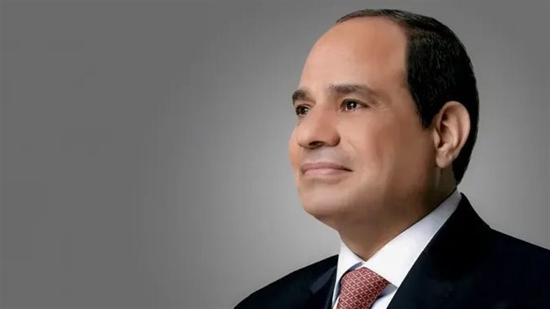 السيد الرئيس عبد الفتاح السيسى