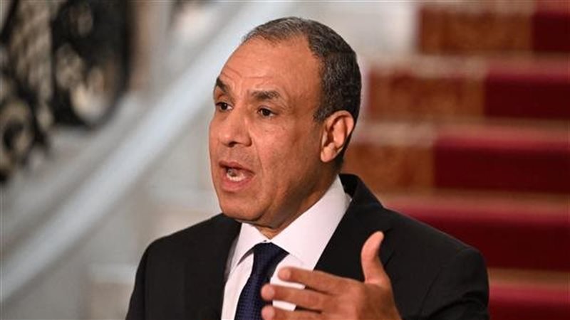 بدر عبد العاطي وزير الخارجية