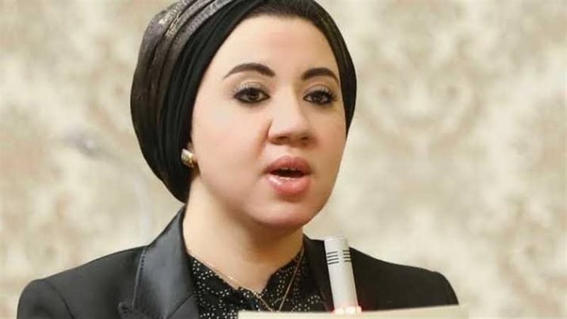 النائبة أميرة صابر
