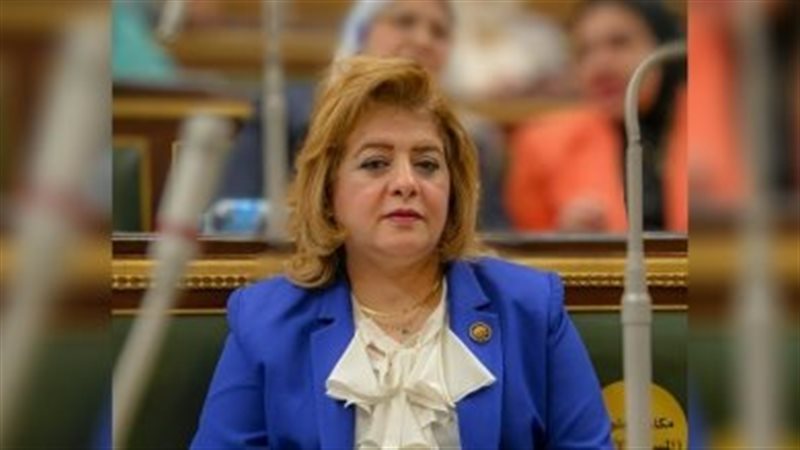 النائبة هناء أنيس