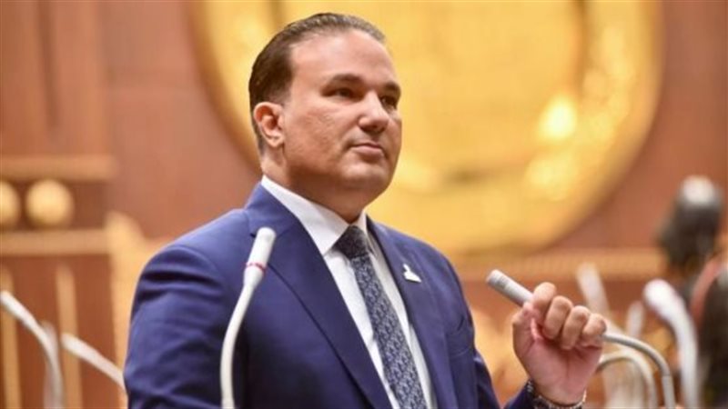 النائب تامر عبد الحميد