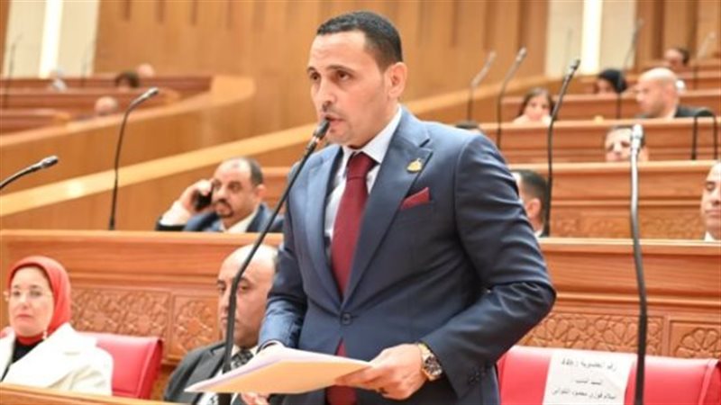 النائب إسلام التلواني