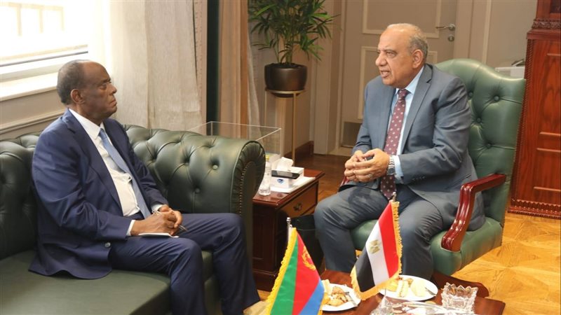  محمود عصمت وزير