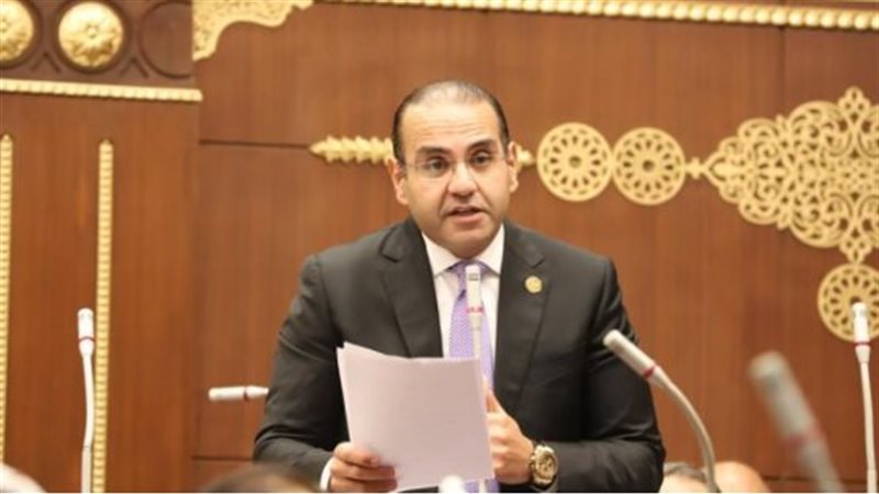 المهندس محمد المنزلاوى