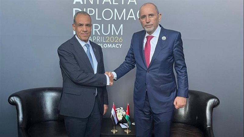 د. بدر عبد العاطي