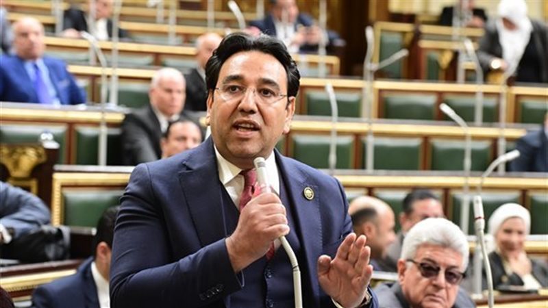 النائب أيمن محسب