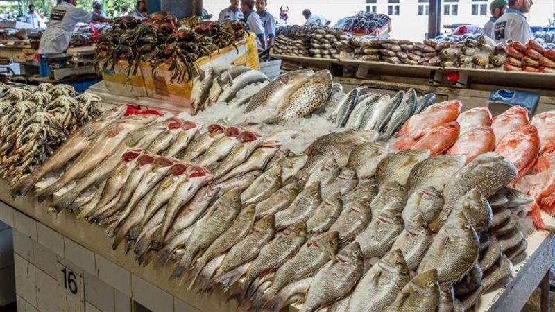 سمك أرشيفية