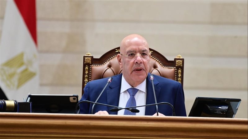 مجلس النواب برئاسة المستشار هشام بدوي