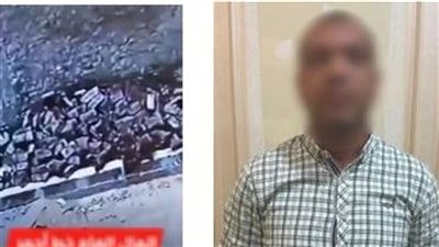 القبض على صاحب فيديو خلع إنترلوك شارع بالمنوفية للخروج بسيارته