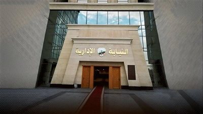 النيابة الإدارية تُفعّل قناة تليجرام لتلقي الشكاوى.. و1396 بلاغًا خلال شهر