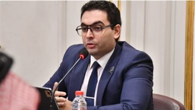 النائب أحمد خالد ممدوح 
