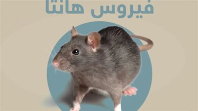 فيروس هانتا 