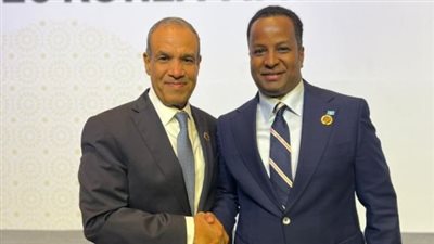 وزير الخارجية يؤكد لنظيره الصومالي ضرورة الإسراع بالإفراج عن البحارة المصريين المختطفين وضمان سلامتهم