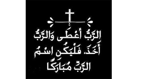 محمد مجدي آمين إعلام حزب المصريين  