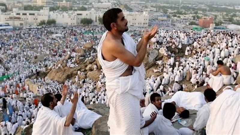 وجه مصر