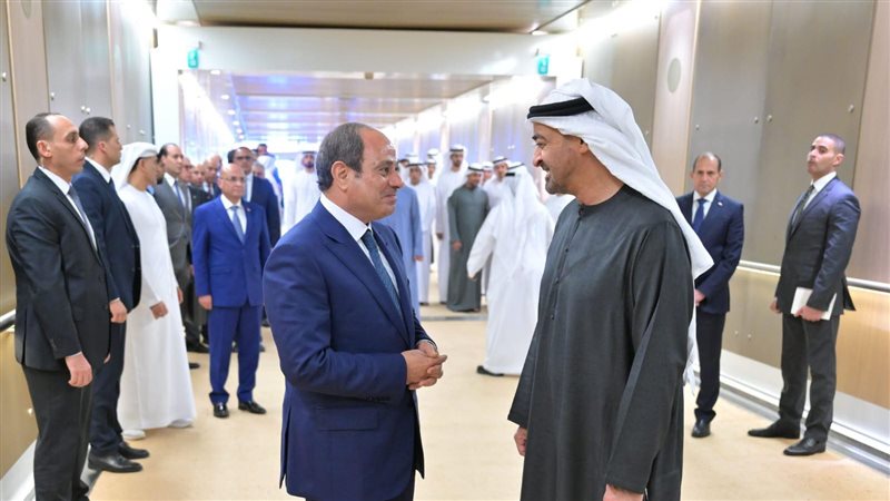 السيد الرئيس عبد