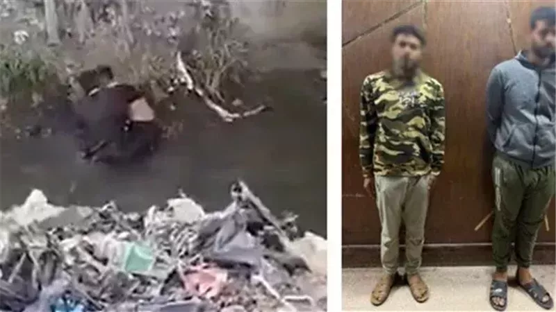 وجه مصر
