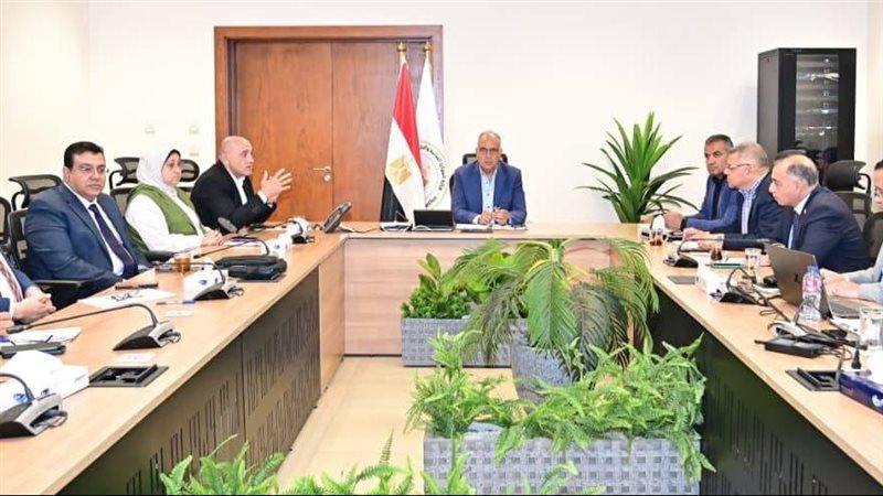 وجه مصر