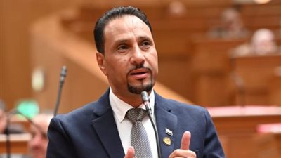 النائب جرجس لاوندي: ثورة 30 يونيو أعادت الدولة إلى مسارها الوطني.. وبيان 3 يوليو أسس لانطلاقة الجمهورية الجديدة