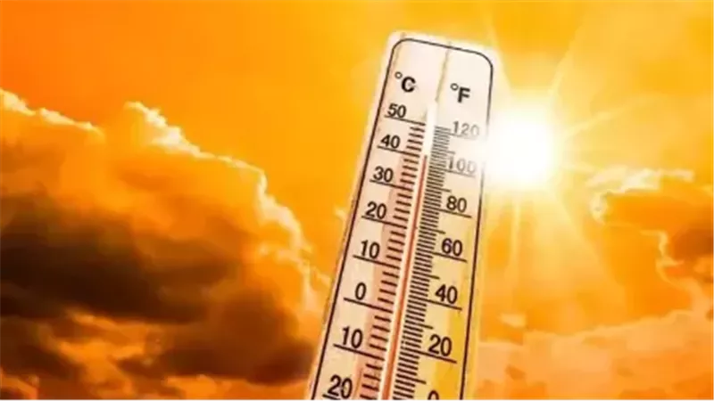 وجه مصر